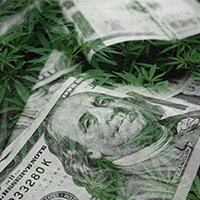 cannabis_with_money_blog_square_200x200