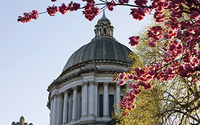 wa_state_capitol_cupola_cherry_blossoms_blog_horizontal_400x250